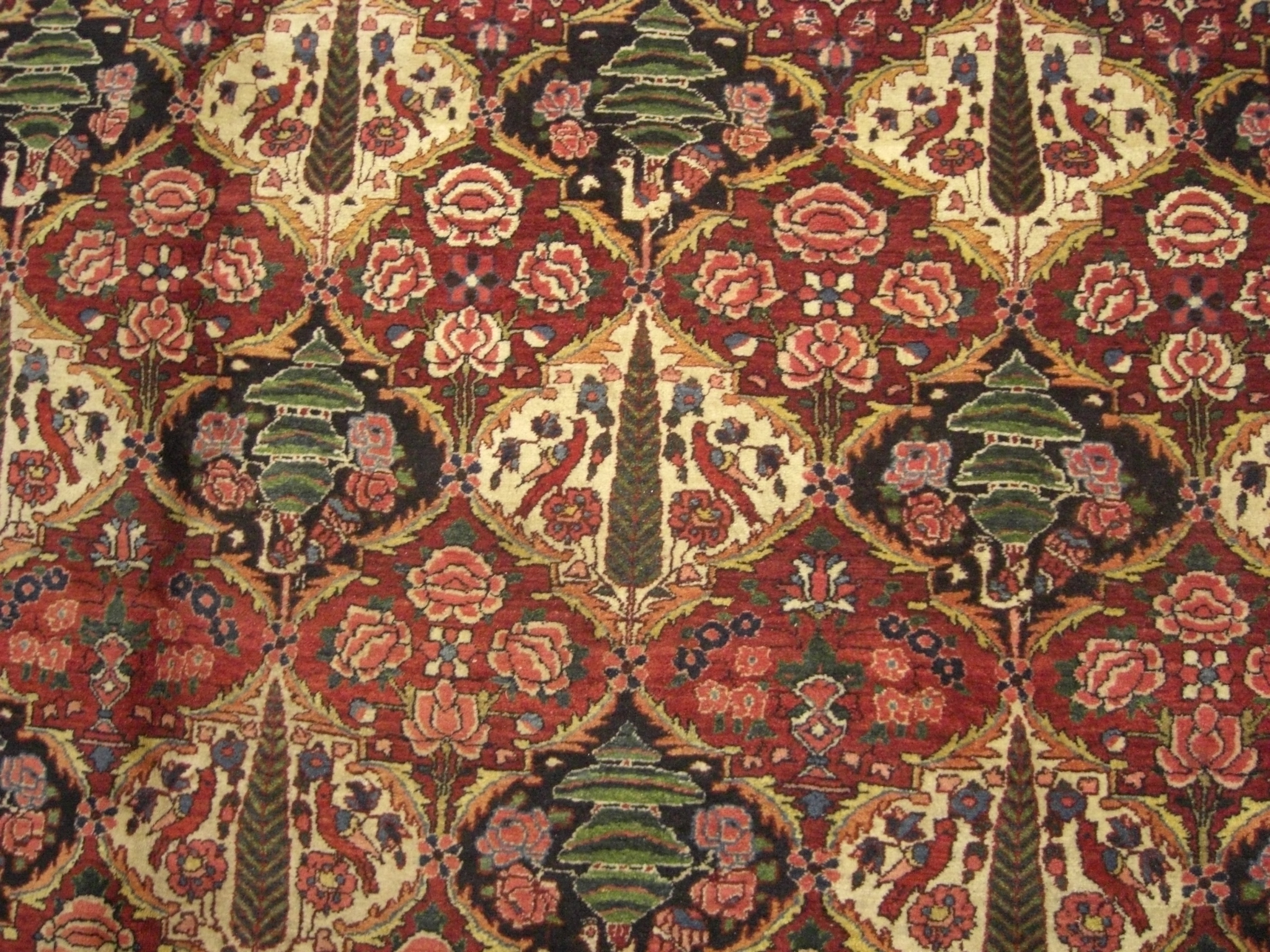Rug image